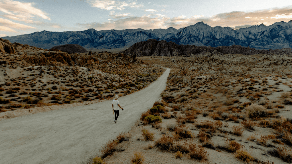 A Solidão do Abandono e a Jornada da Superação